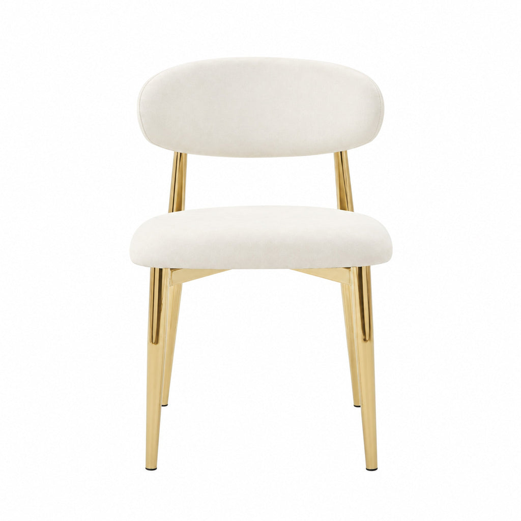 Deluxe Dining Chair (2PCS/CTN)