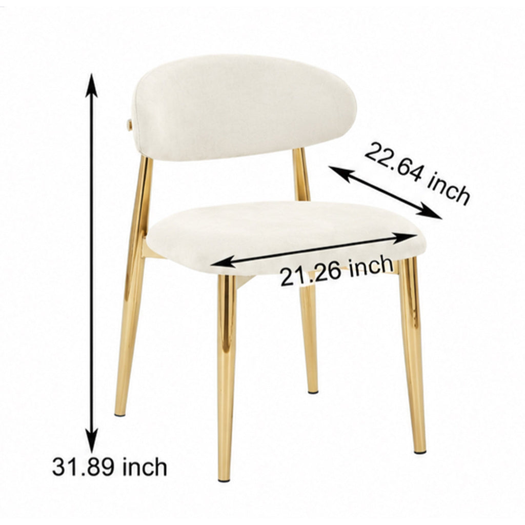 Deluxe Dining Chair (2PCS/CTN)